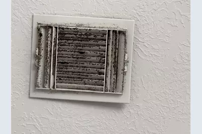 16323 Peach Orchard Drive, Humble, TX 77396 - Photo 29