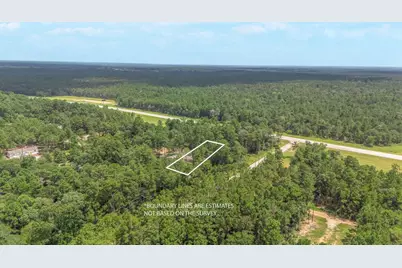 7996 Tawnyberry Lane, Plantersville, TX 77363 - Photo 23