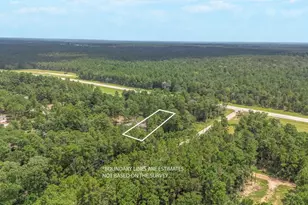 7996 Tawnyberry Ln, Plantersville, TX 77363 - Photo 23