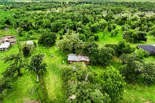 19612 County Rd 319, Brazoria, TX 77422 - Photo 1