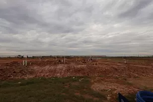 31514 Bluebell Ave, Fulshear, TX 77423 - Photo 5