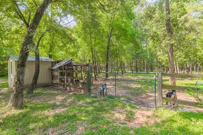 30711 Carrington Drive, Magnolia, TX 77354 - Photo 33