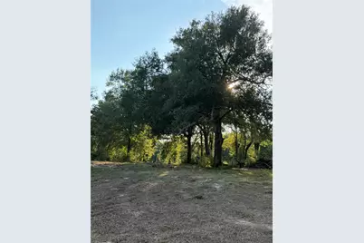 13701 Cr 349, Jewett, TX 75846 - Photo 3