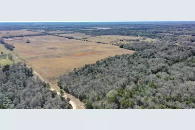 Tbd Cr 328, Tract 7, 10 Acres, Caldwell, TX 77836 - Photo 3
