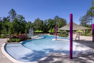 608 Crested Duck Ct, Willis, TX 77318 - Photo 19