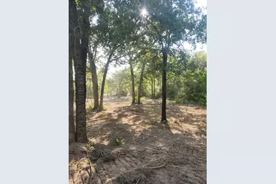 13319 Tyler Ln, Franklin, TX 77856 - Photo 1
