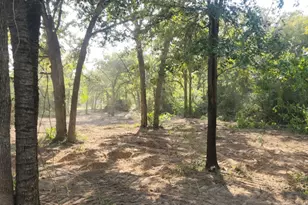 13319 Tyler Ln, Franklin, TX 77856 - Photo 1