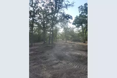 13319 Tyler Ln, Franklin, TX 77856 - Photo 5