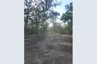 13319 Tyler Ln, Franklin, TX 77856 - Photo 5
