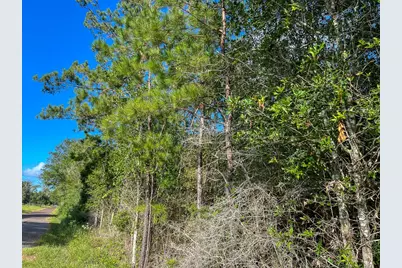 5 Fm 1013, Kirbyville, TX 75956 - Photo 5