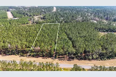 15422 Forest Grove Drive, Willis, TX 77378 - Photo 1