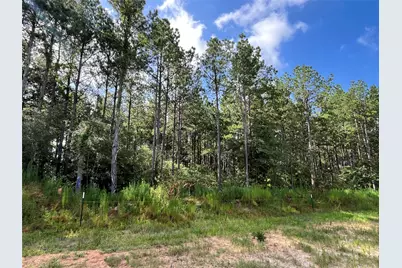 15422 Forest Grove Drive, Willis, TX 77378 - Photo 5