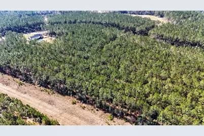 15422 Forest Grove Drive, Willis, TX 77378 - Photo 15