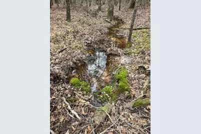[Address not provided], Colmesneil, TX 75938 - Photo 1