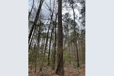 [Address not provided], Colmesneil, TX 75938 - Photo 17
