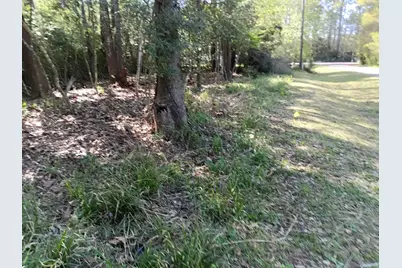 1004 White River Road, Conroe, TX 77316 - Photo 3