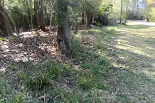 1004 White River Rd, Conroe, TX 77316 - Photo 3