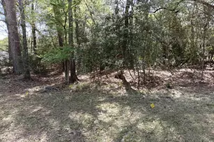 1004 White River Rd, Conroe, TX 77316 - Photo 1