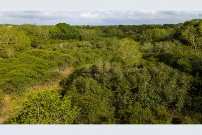 000 County Road 464, Blessing, TX 77419 - Photo 3