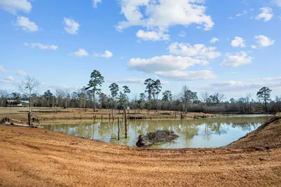 15543 Fm-343, Douglass, TX 75943 - Photo 11