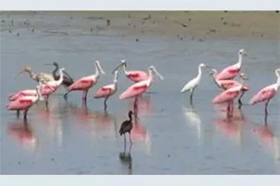 8 Marathon, Hitchcock, TX 77563 - Photo 27