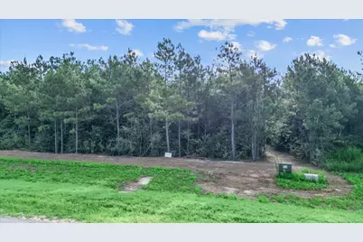 16230 Ridge Oak Road, Willis, TX 77378 - Photo 3