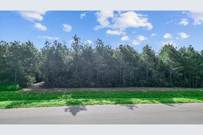 16230 Ridge Oak Road, Willis, TX 77378 - Photo 9