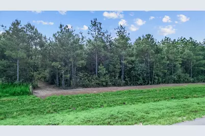 16230 Ridge Oak Road, Willis, TX 77378 - Photo 7