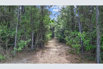16230 Ridge Oak Road, Willis, TX 77378 - Photo 5