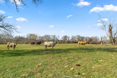 Tbd Shaws Bend Rd, Columbus, TX 78934 - Photo 7