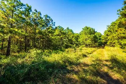 South Main St S Main, Anahuac, TX 77514 - Photo 15