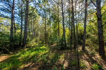 South Main St S Main, Anahuac, TX 77514 - Photo 21