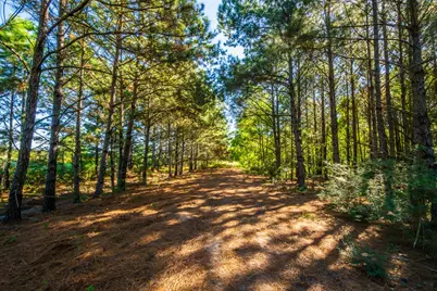 South Main St S Main, Anahuac, TX 77514 - Photo 19
