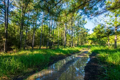 South Main St S Main, Anahuac, TX 77514 - Photo 33