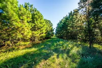 South Main St S Main, Anahuac, TX 77514 - Photo 35