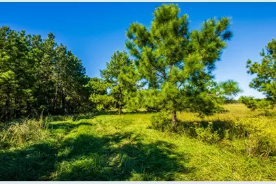 South Main St S Main, Anahuac, TX 77514 - Photo 13