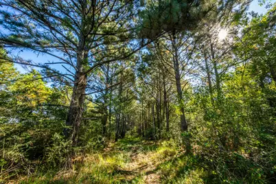 South Main St S Main, Anahuac, TX 77514 - Photo 25