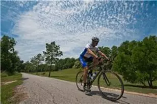 810 Herdsman Dr, Houston, TX 77079 - Photo 43