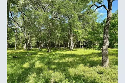 30106 Huffman Cleveland Road, Huffman, TX 77336 - Photo 7