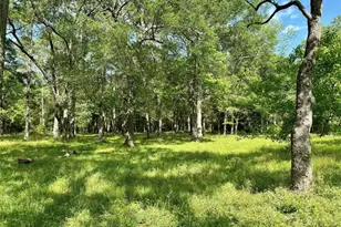 30106 Huffman Cleveland Rd, Huffman, TX 77336 - Photo 7