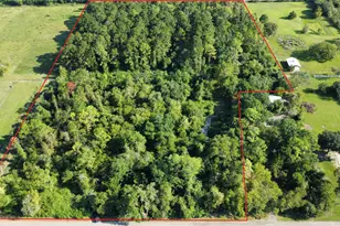 4925 County Rd 435, Alvin, TX 77511 - Photo 1