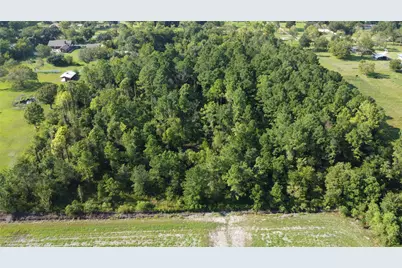 4925 County Road 435, Alvin, TX 77511 - Photo 9