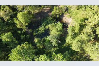 4925 County Road 435, Alvin, TX 77511 - Photo 3