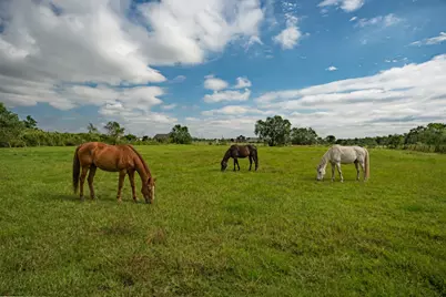 1108 County Road 55, Rosharon, TX 77583 - Photo 19