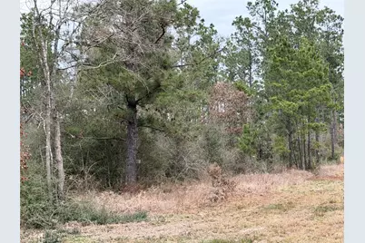 700 Pr 8160, Lovelady, TX 75851 - Photo 33