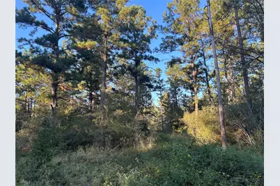 700 Pr 8160, Lovelady, TX 75851 - Photo 13