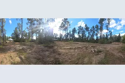 700 Pr 8160, Lovelady, TX 75851 - Photo 5