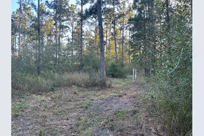700 Pr 8160, Lovelady, TX 75851 - Photo 9