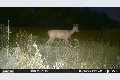 700 Pr 8160, Lovelady, TX 75851 - Photo 23