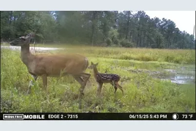 700 Pr 8160, Lovelady, TX 75851 - Photo 21